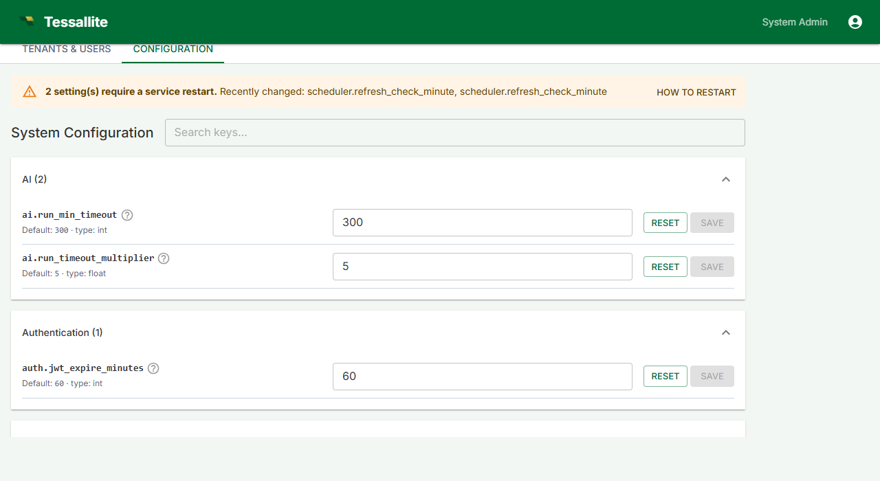 System Configuration — read-only Environment panel.